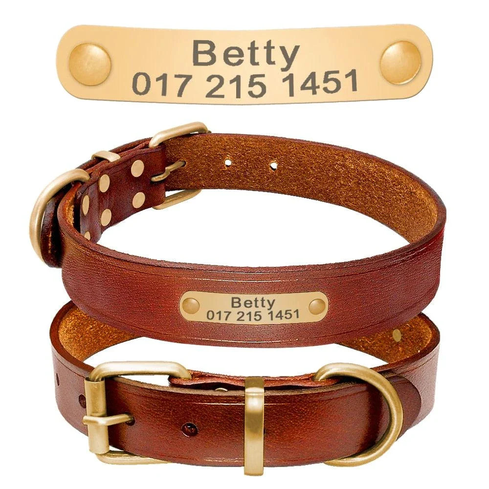 Elegant genuine leather dog collar in brown, featuring adjustable buckle closure and premium New Zealand leather construction