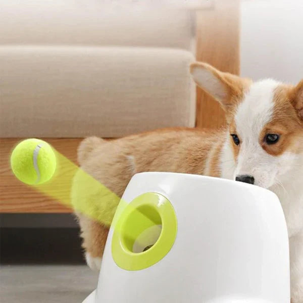 Automatic Tennis Ball Launcher: Interactive indoor and outdoor toy for dogs with adjustable launch distance and power options