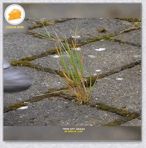 Pavement Grass Trimmer - A heavy-duty, stainless steel tool designed to efficiently tackle tough grass, moss, and brush on hard Kiwi surfaces like concrete and asphalt.