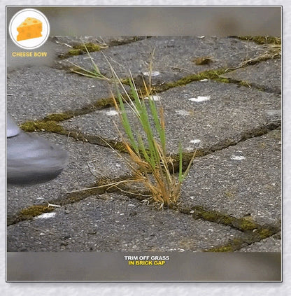 Pavement Grass Trimmer - A heavy-duty, stainless steel tool designed to efficiently tackle tough grass, moss, and brush on hard Kiwi surfaces like concrete and asphalt.