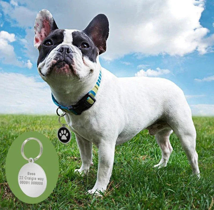 Premium stainless steel dog ID tag with a unique paw print pattern, designed for the active Kiwi lifestyle