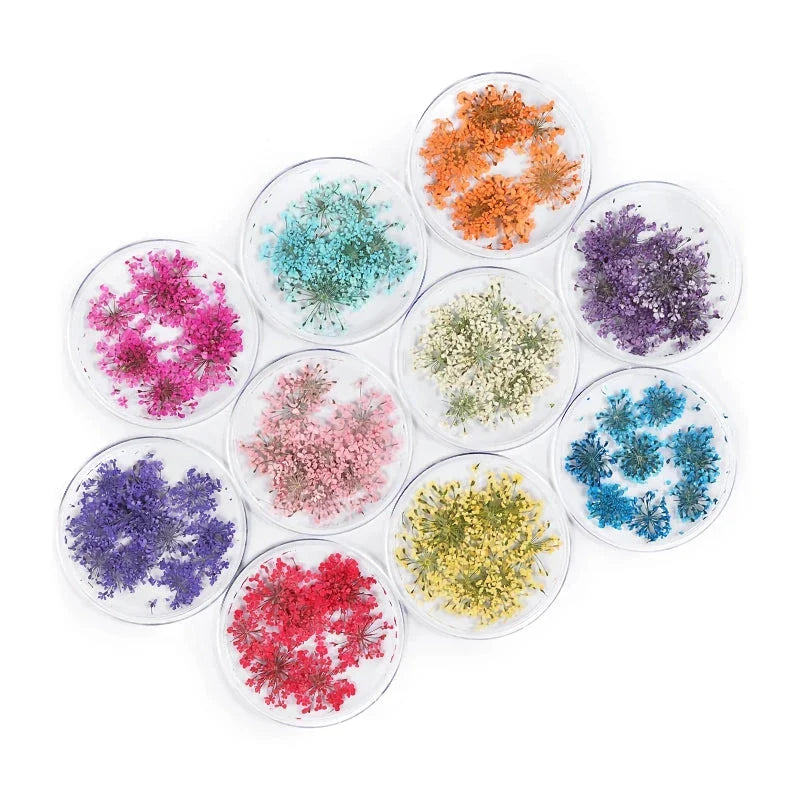 3D dried flower nail art decorations set with assorted colourful real flowers