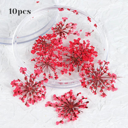 3D dried flower nail art decorations set with assorted colourful real flowers