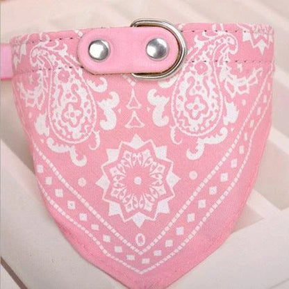 Adjustable dog collar in vibrant pink colour, made of durable nylon material for Kiwi pup parents