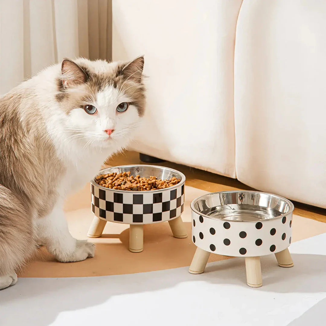 Elevated cat feeder bowl with anti-choking design for cats and small to medium dogs