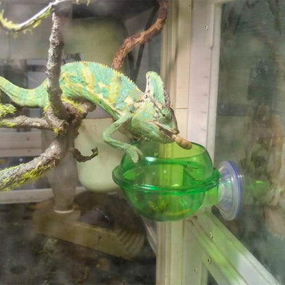 Versatile Chameleon Feeding System with suction cups, soft pad, and hard cover for secure attachment to glass enclosures