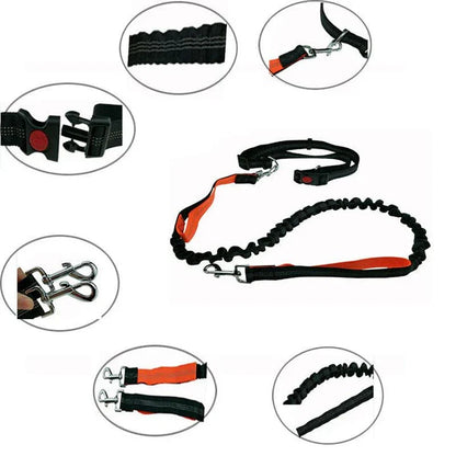 Elastic dog leash with adjustable waist strap, made of premium nylon and rubber materials for durability and safety