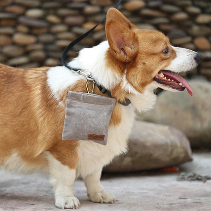 Portable Dog Training Snack Bag with Durable Oil-Resistant Design for Rewarding Kiwi Pups