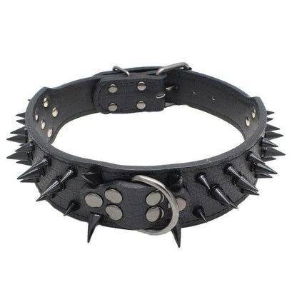 A stylish pet collar with a punk-inspired design, featuring metal accents and an adjustable fit for comfortable wear