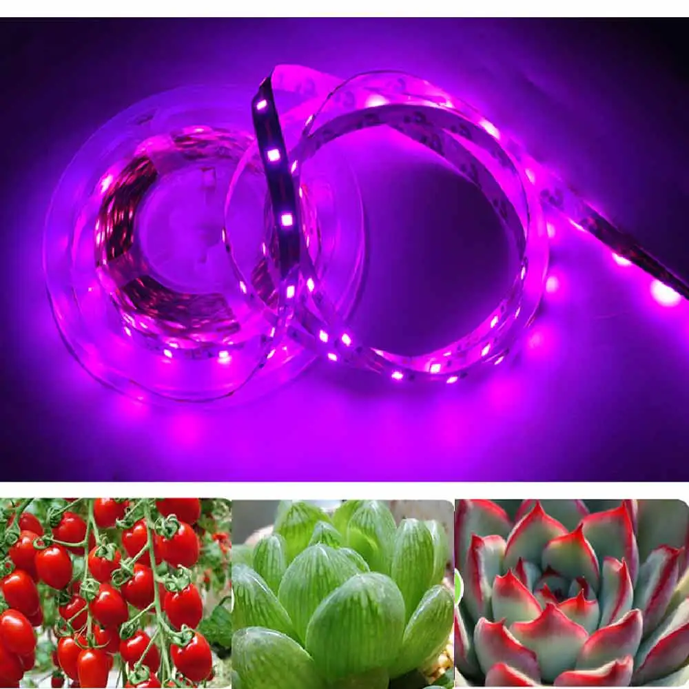 Waterproof Full Spectrum LED Grow Light for Indoor Plants - Provides Optimal Lighting for Vibrant, Healthy Greenery