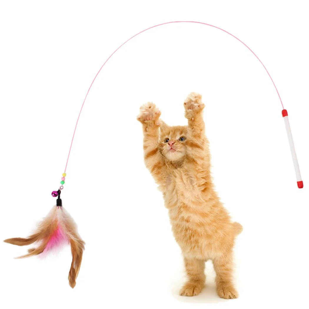 The Interactive Cat Toy Feather with a green feather and sturdy plastic ball, designed to engage cats in energetic play and satisfy their natural hunting behaviours.