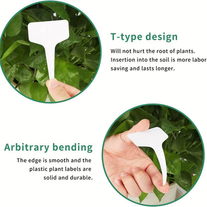 Biodegradable paper nursery pots and plant labels for eco-friendly gardening in New Zealand