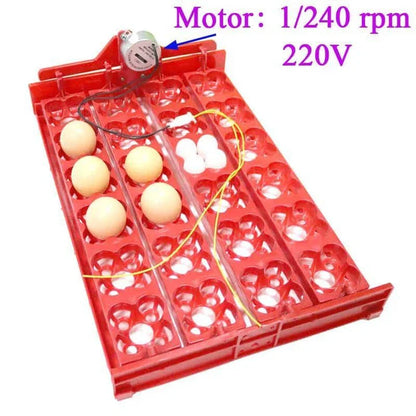 Automatic 24-Egg Incubator Tray for effortless chick hatching with precise temperature and humidity control