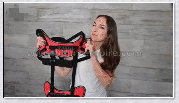 A multi-functional full-body dog lifting harness with long handles for easy support and assistance