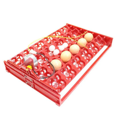 Automatic 24-Egg Incubator Tray for effortless chick hatching with precise temperature and humidity control