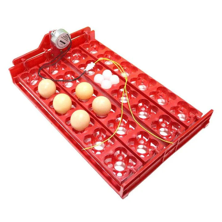 Automatic 24-Egg Incubator Tray for effortless chick hatching with precise temperature and humidity control