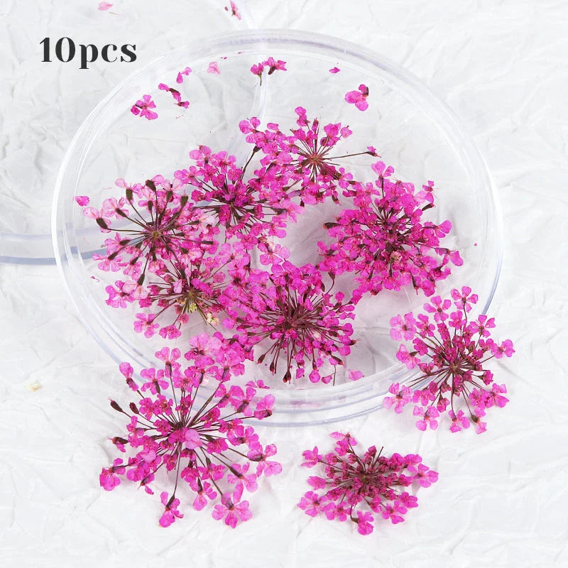 3D dried flower nail art decorations set with assorted colourful real flowers