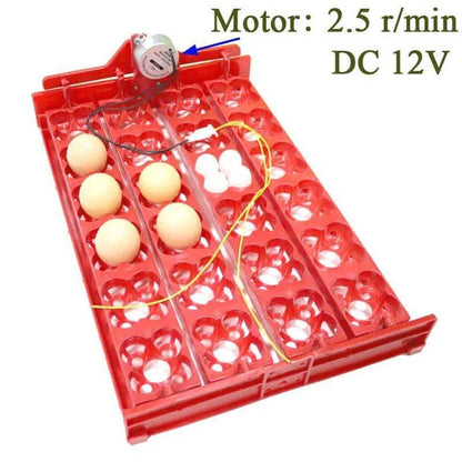 Automatic 24-Egg Incubator Tray for effortless chick hatching with precise temperature and humidity control