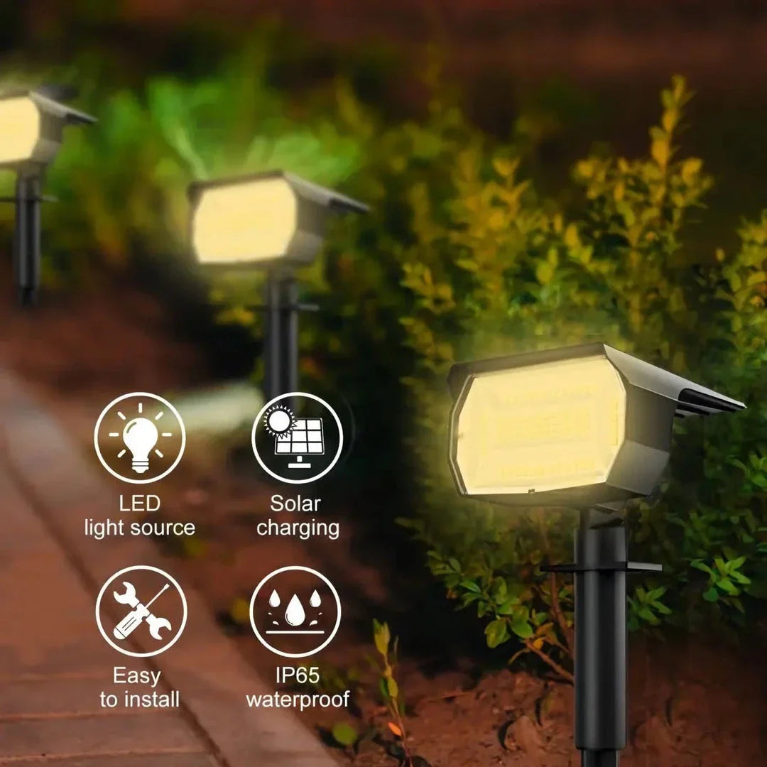 Outdoor Solar Landscape Spotlights with Multiple LED Options and Weatherproof Design for Enchanting Kiwi Gardens