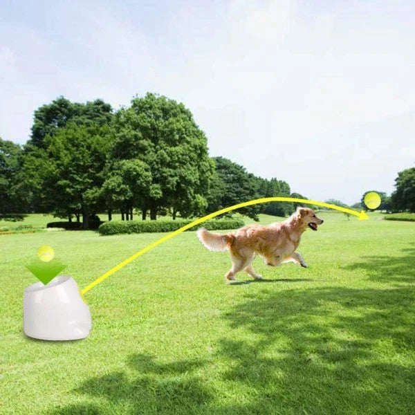 Automatic Tennis Ball Launcher, a device designed to launch tennis balls for small to medium-sized dogs to chase and retrieve, providing exercise and mental stimulation.