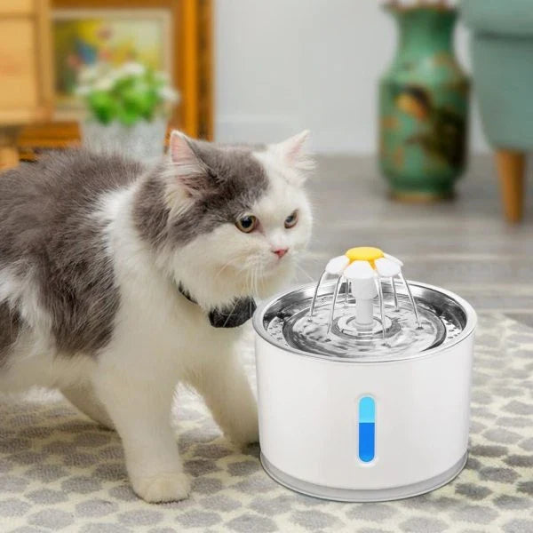 Automated pet water fountain with LED lights, crafted from premium materials for continuous, fresh, and healthy hydration