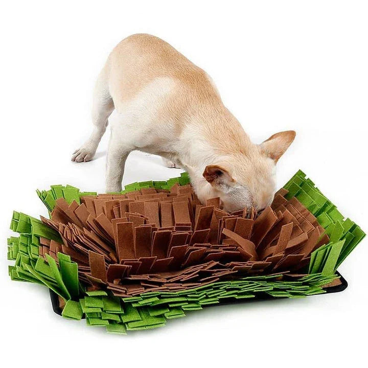 Green Clever Kiwi's Sniffing Mat designed to engage a dog's natural foraging instincts