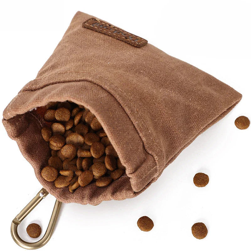 Portable Dog Training Snack Bag with Durable Oil-Resistant Design for Rewarding Kiwi Pups