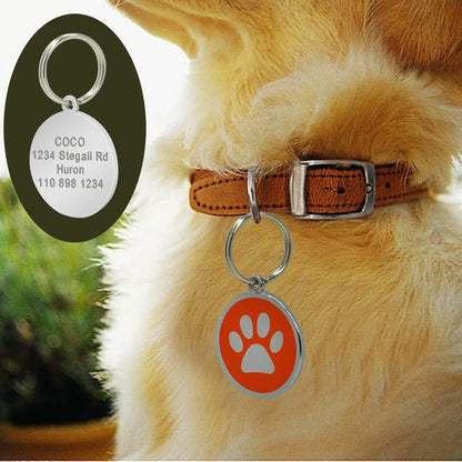 Premium stainless steel dog ID tag with a unique paw print pattern, designed for the active Kiwi lifestyle