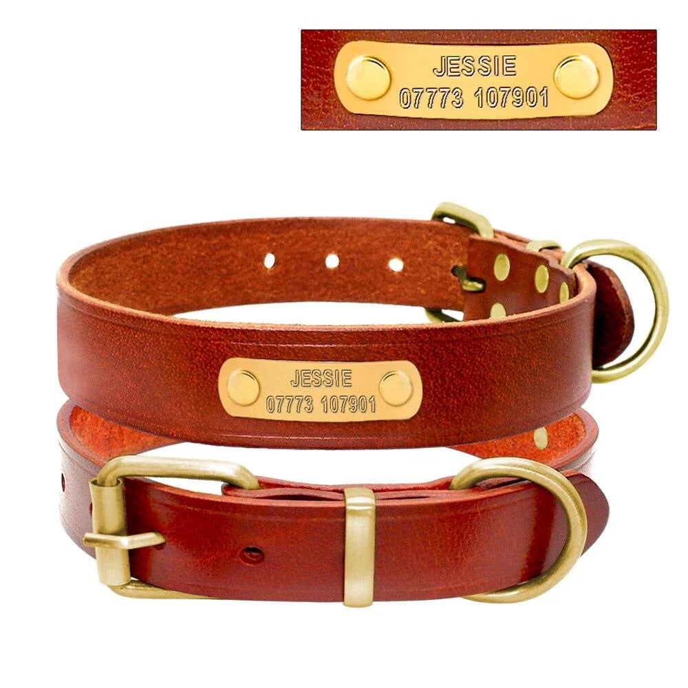 Elegant genuine leather dog collar in brown, featuring adjustable buckle closure and premium New Zealand leather construction