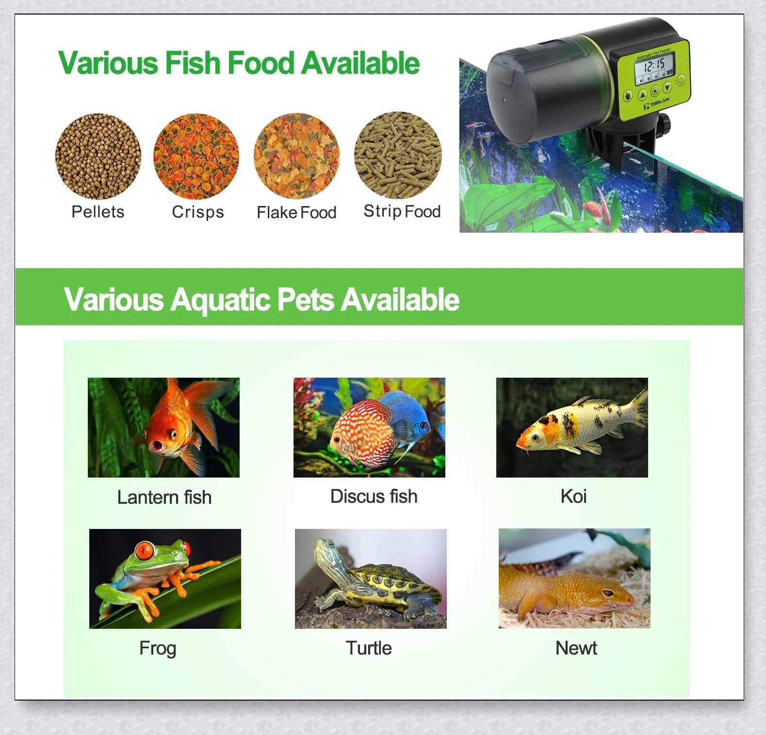 Smart Automatic Fish Feeder with programmable timer, moisture-resistant hopper, and large food capacity for Kiwi aquarium owners