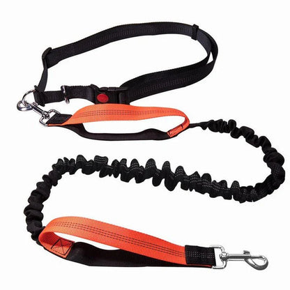 Elastic dog leash with adjustable waist strap, made of premium nylon and rubber materials for durability and safety