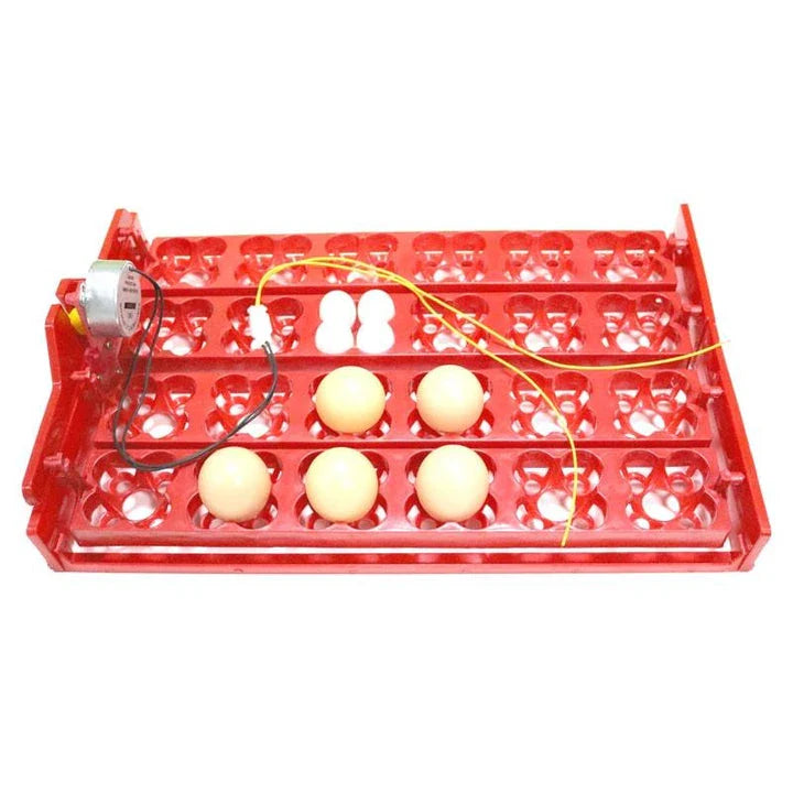 Automatic 24-Egg Incubator Tray for effortless chick hatching with precise temperature and humidity control