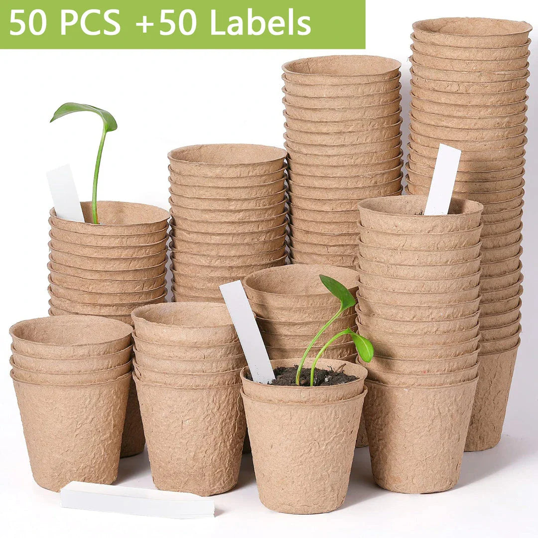 Biodegradable paper nursery pots and plant labels for eco-friendly gardening in New Zealand