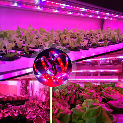 Waterproof Full Spectrum LED Grow Light for Indoor Plants - Provides Optimal Lighting for Vibrant, Healthy Greenery