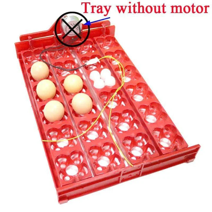 Automatic 24-Egg Incubator Tray for effortless chick hatching with precise temperature and humidity control