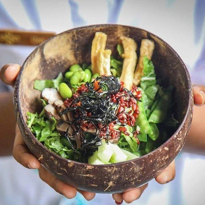 Shopfluxpro NZ Sustainable Coconut Bowl - Natural Home Accessory