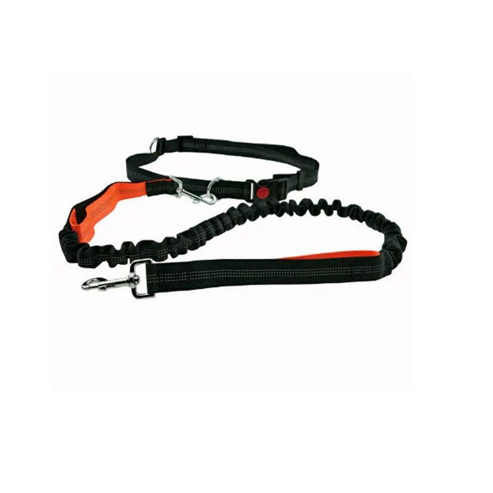 Elastic dog leash with adjustable waist strap, made of premium nylon and rubber materials for durability and safety