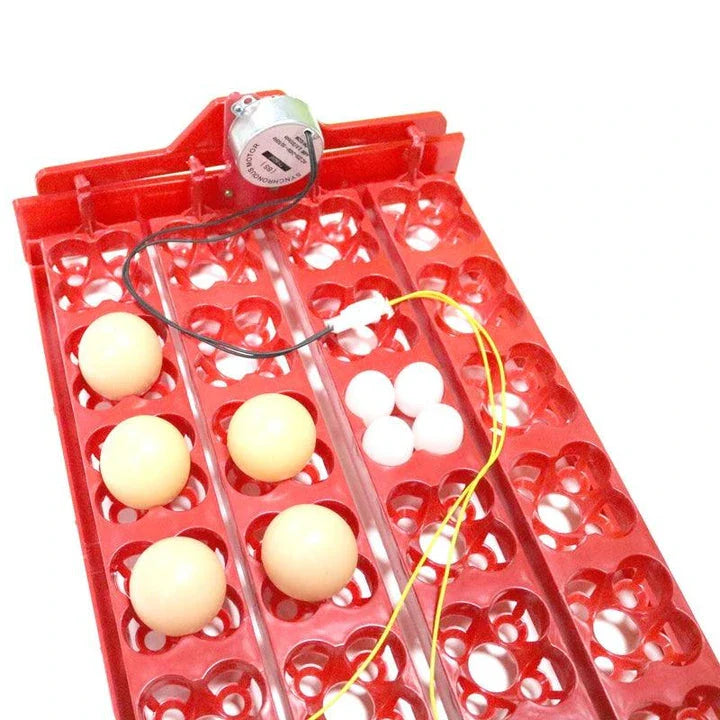 Automatic 24-Egg Incubator Tray for effortless chick hatching with precise temperature and humidity control