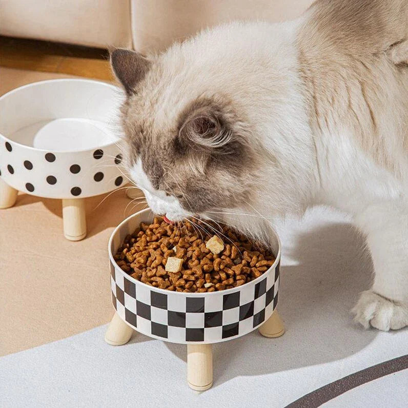 Elevated cat feeder bowl with anti-choking design for cats and small to medium dogs