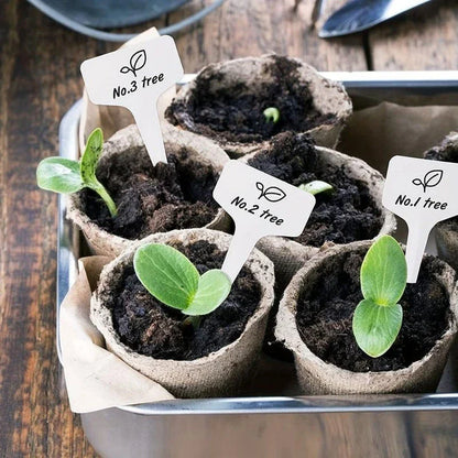 Biodegradable paper nursery pots and plant labels for eco-friendly gardening in New Zealand