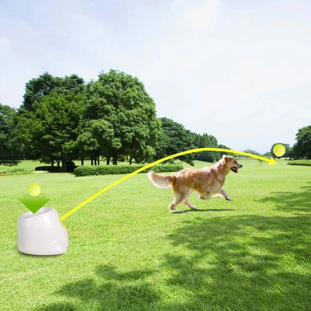 Automatic Tennis Ball Launcher, a device designed to launch tennis balls for small to medium-sized dogs to chase and retrieve, providing exercise and mental stimulation.