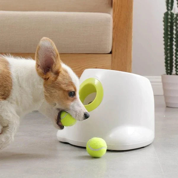 Automatic Tennis Ball Launcher: Interactive indoor and outdoor toy for dogs with adjustable launch distance and power options