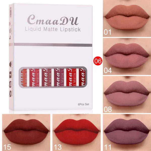 6 boxes of waterproof matte lipstick and long-lasting lip gloss in a variety of shades, including nude, red, pink, coral, berry, and plum