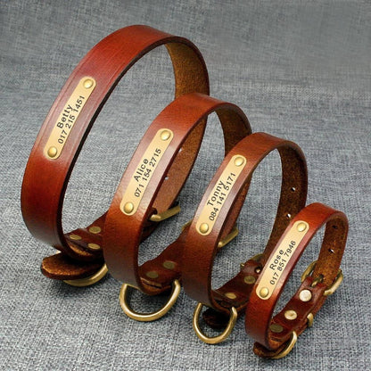 Elegant genuine leather dog collar in brown, featuring adjustable buckle closure and premium New Zealand leather construction