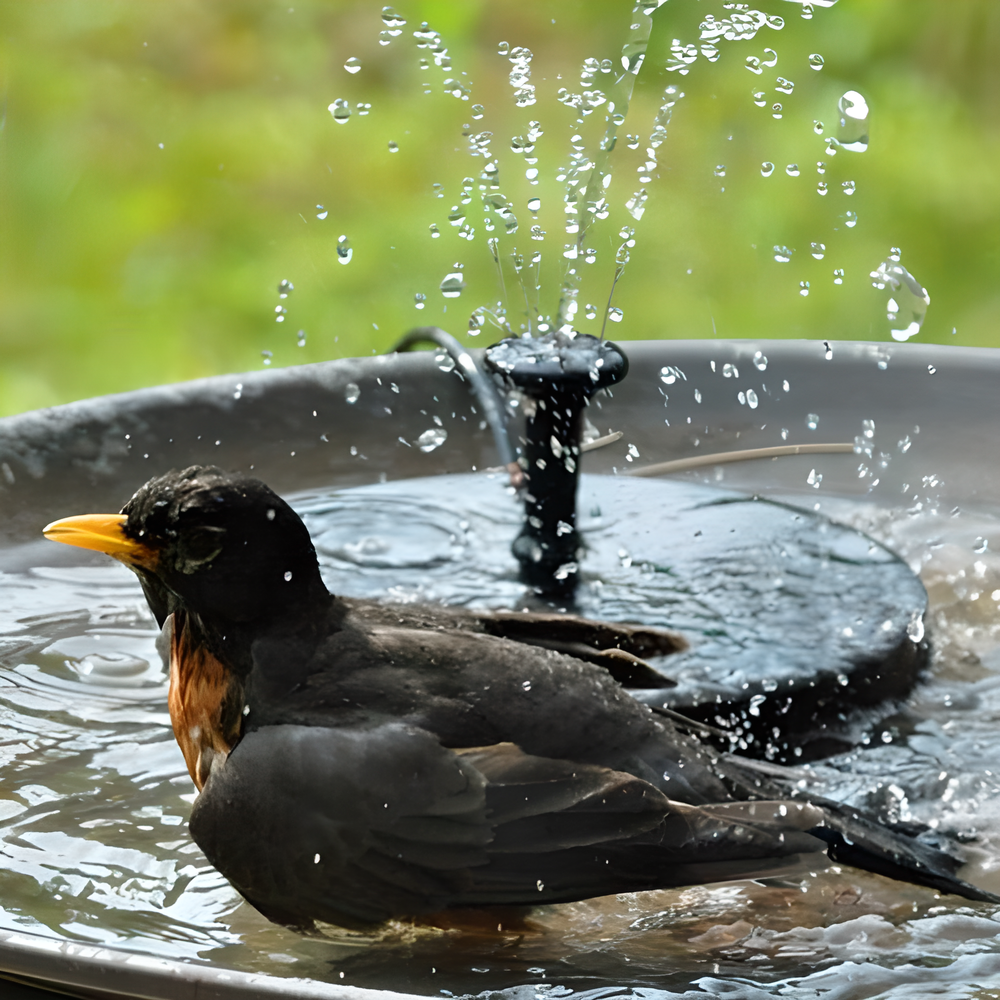 Eco-friendly solar-powered bird fountain with adjustable nozzle heads for customizable water patterns, perfect for Kiwi gardens and backyards