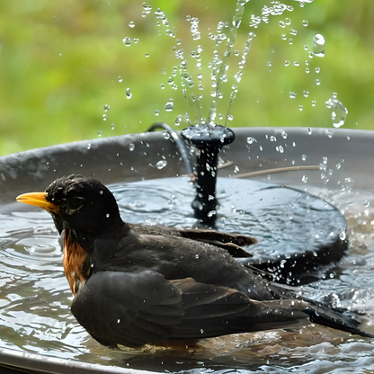 Eco-friendly solar-powered bird fountain with adjustable nozzle heads for customizable water patterns, perfect for Kiwi gardens and backyards