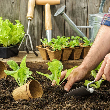 Biodegradable paper nursery pots and plant labels for eco-friendly gardening in New Zealand