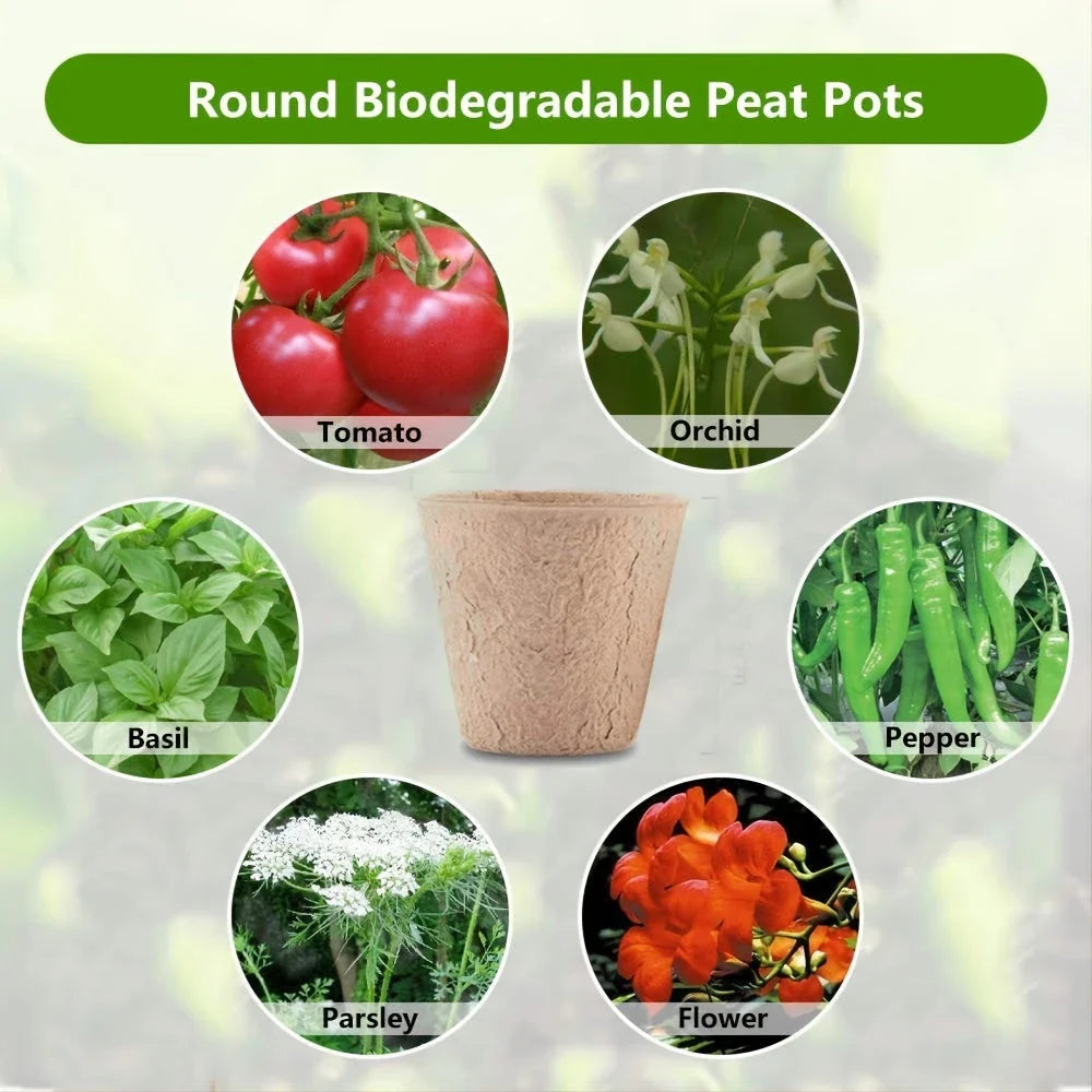 Biodegradable paper nursery pots and plant labels for eco-friendly gardening in New Zealand